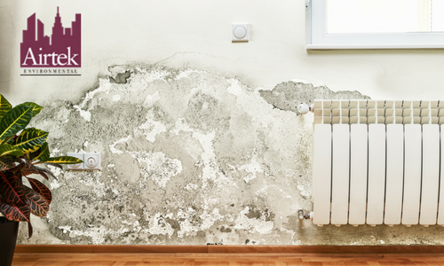 Mold Inspection New York | Mold Inspection NYC | Airtek Environment